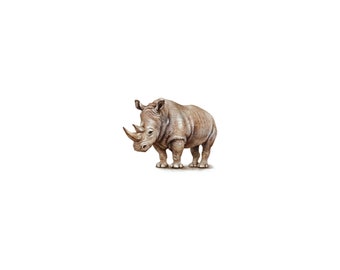 PRINT of watercolor miniature painting. White Rhino (Ceratotherium simum)