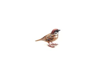 PRINT of watercolor miniature painting. Tree Sparrow