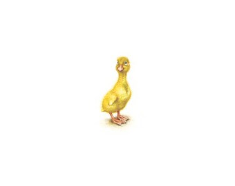 PRINT of watercolor miniature painting. Duckling