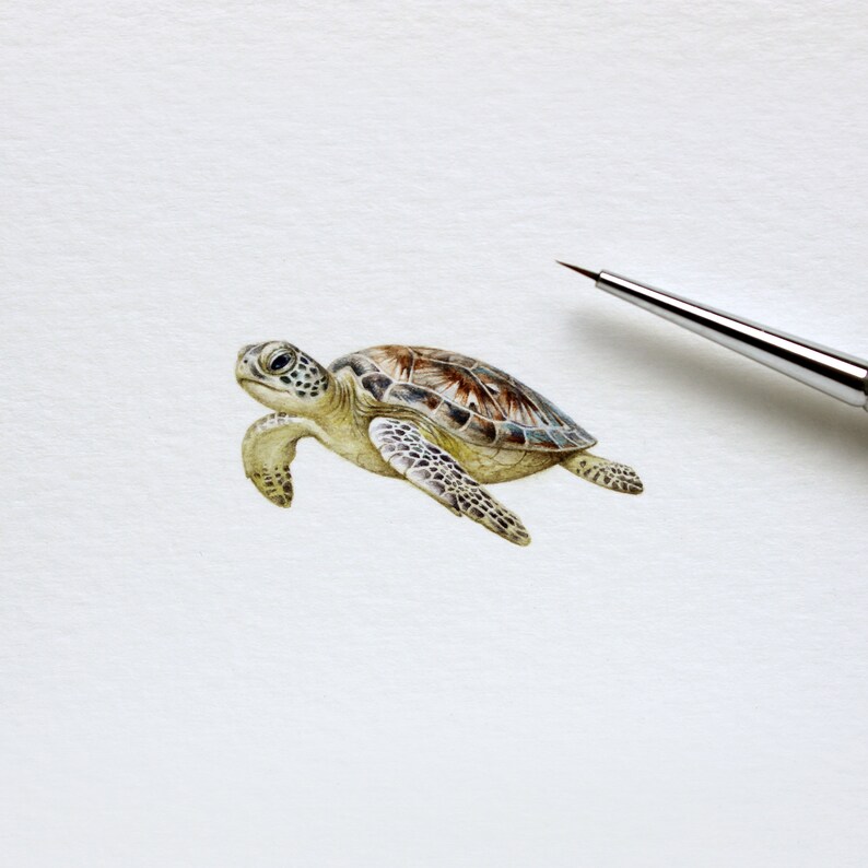 PRINT of watercolor miniature painting. Sea Turtle image 2