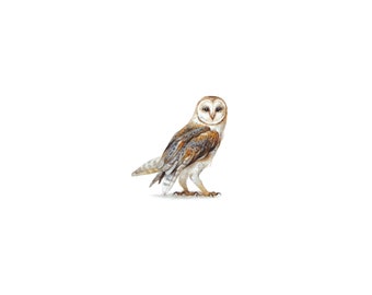 PRINT of watercolor miniature painting. Barn owl
