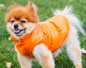 puffy dog jacket