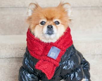 May include: A small, fluffy dog wearing a black puffer jacket and a red knitted scarf. The dog is sitting on a set of stairs.