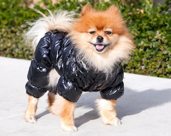 dog bubble jacket
