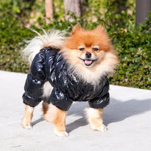 Moncler dog sales jacket ebay