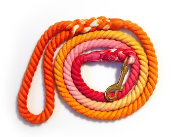 Ombre Dog Leash - Pink Orange & Blue Green (Dual Color)