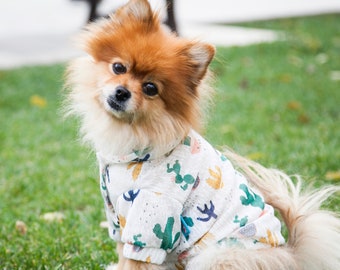 May include: A small, fluffy, orange and white dog wearing a white sweater with a cactus print. The dog is sitting on green grass.