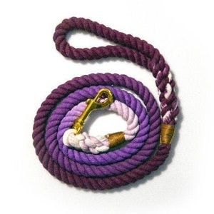 Purple Ombre Dog Leash image 1