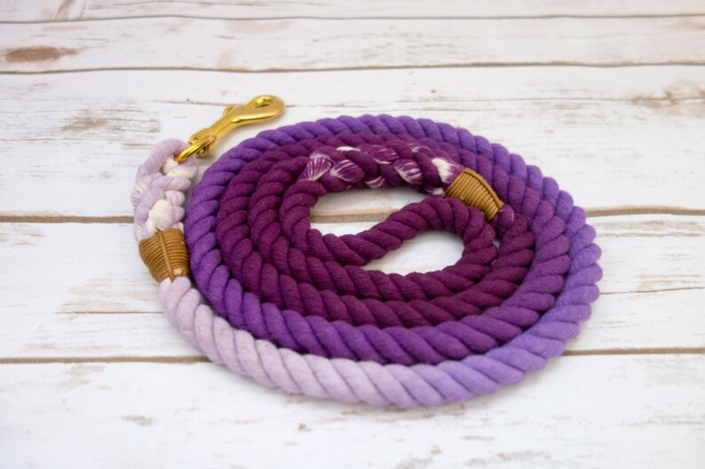 Purple Ombre Dog Leash image 3