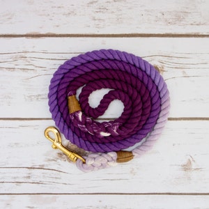 Purple Ombre Dog Leash image 2
