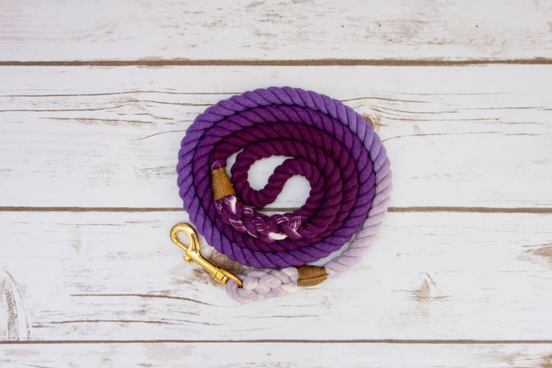 Purple Ombre Dog Leash image 2