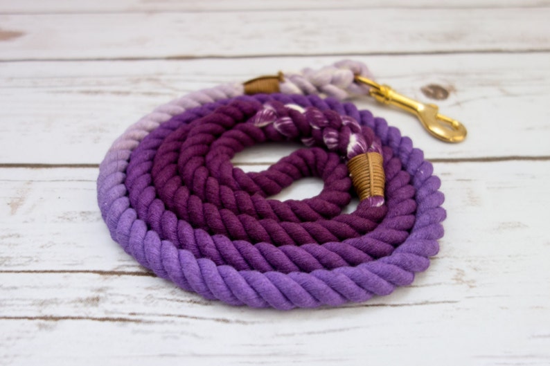 Purple Ombre Dog Leash image 4