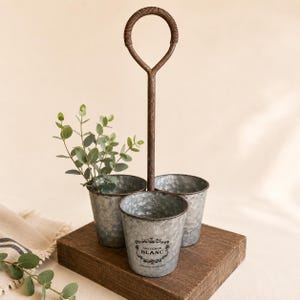 May include: A metal caddy featuring three galvanized steel buckets with a central handle wrapped in brown cord. The front bucket displays the black text "SAUVIGNON BLANC" with decorative flourishes. One bucket contains green eucalyptus stems.