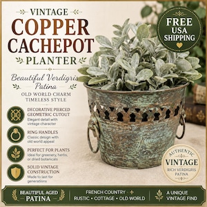 May include: A copper cachepot planter featuring a verdigris patina, a decorative pierced geometric cutout along the upper rim, and two side ring handles. The planter contains a leafy green plant and is displayed with text overlays.