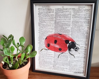 Realistic Red Ladybug Hand Drawn on Dictionary Page with Colored Pencils Art