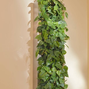 Mur végétal en acier inoxydable 14 x 58 pour aménagement intérieur ou extérieur image 1