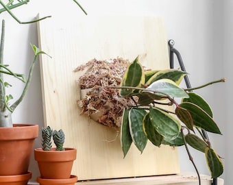 DIY Plant mouting Vertical garden kit