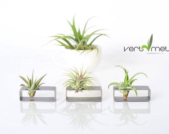 Petit support rectangulaire en acier inoxydable avec plante aérienne