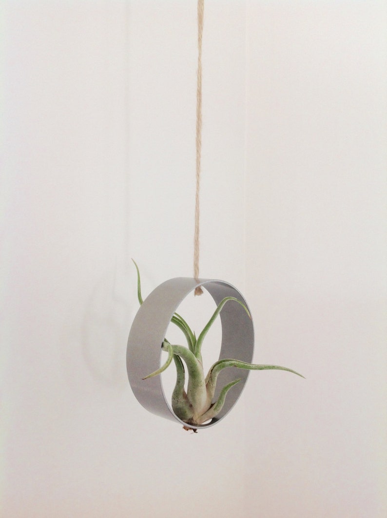 Stainless steel hanger for Tillandsia, holder image 6