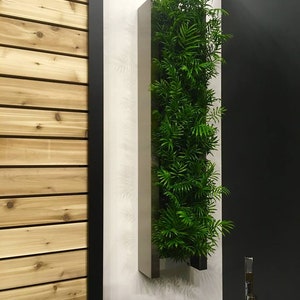 Mur végétal en acier inoxydable 14 x 58 pour aménagement intérieur ou extérieur image 8