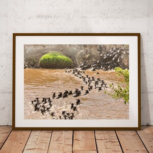 Wildebeest Migration Photo: Maasai Mara African Wildlife Art