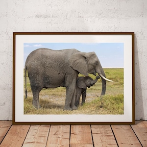 Elephant Family Art, Elephant Photo, Baby Elephant, Wild Natural, Animal Photography, Elephant Prints, Elephant Picture, Elephant Wall Art