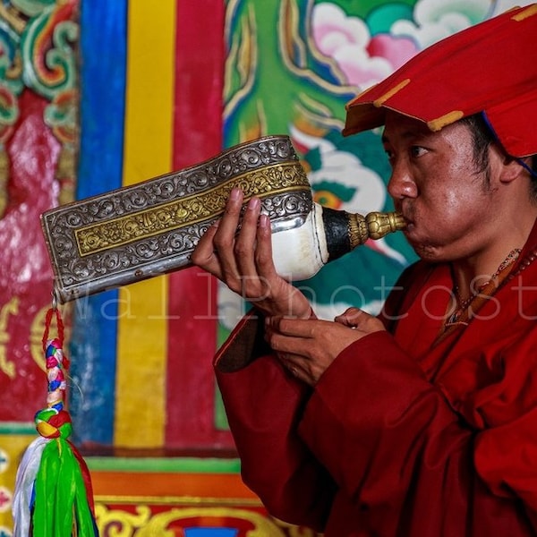 Monje budista tibetano con trompeta de concha tallada ceremonial, budismo, fotografía de monje, arte mural tibetano, póster de monje, fotosc tibetano