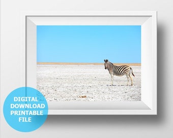 Digital Download Zebra  Nursery Wall Art, Photography, Zebra Photo Print, Safari Animal Print, Zebra Prints Digital, Nursery Animal Wall Art