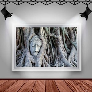 Buddha Head Statue in Tree Roots, Buddha Photography, Thailand Photography, Buddha Prints, Temple, Buddha Wall Art, Fine Art Photography image 9