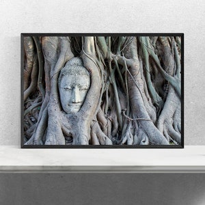 Buddha Head Statue in Tree Roots, Buddha Photography, Thailand Photography, Buddha Prints, Temple, Buddha Wall Art, Fine Art Photography image 6