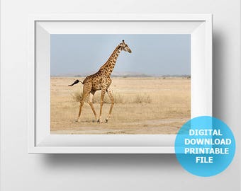 Giraffe Digital Download Photo, Giraffe Wall Art, Nursery Animal Prints, Giraffe Print, Giraffe Digital Print, Giraffe Printable, For Kids