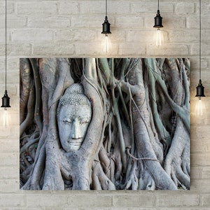 Buddha Head Statue in Tree Roots, Buddha Photography, Thailand Photography, Buddha Prints, Temple, Buddha Wall Art, Fine Art Photography image 4