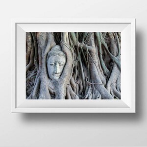 Buddha Head Statue in Tree Roots, Buddha Photography, Thailand Photography, Buddha Prints, Temple, Buddha Wall Art, Fine Art Photography image 8