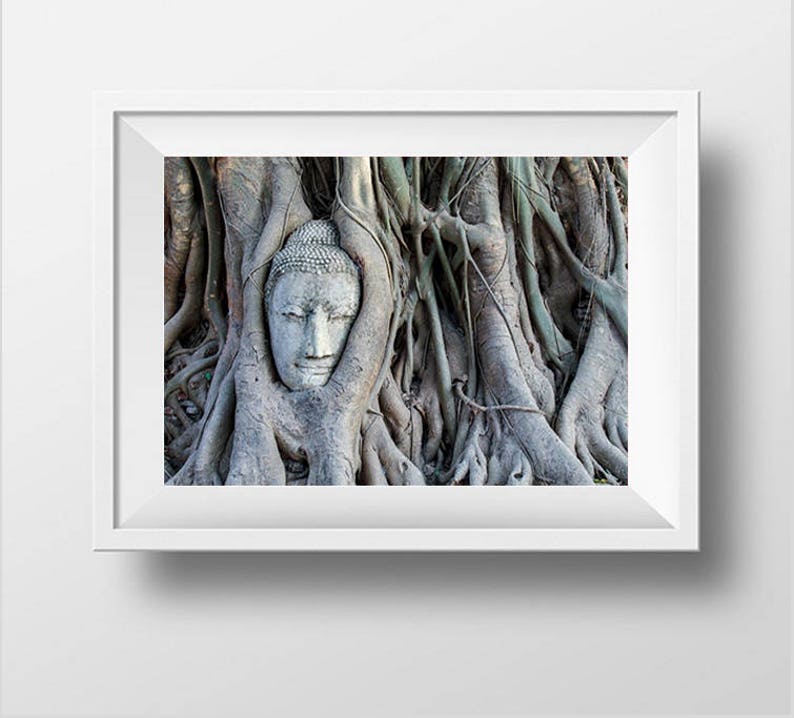 Buddha Head Statue in Tree Roots, Buddha Photography, Thailand Photography, Buddha Prints, Temple, Buddha Wall Art, Fine Art Photography image 8