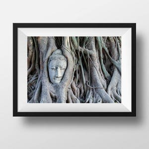 Buddha Head Statue in Tree Roots, Buddha Photography, Thailand Photography, Buddha Prints, Temple, Buddha Wall Art, Fine Art Photography image 7