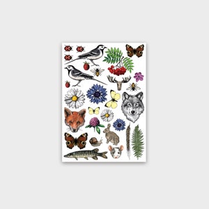Tatuaggi temporanei NATURA / Set di tatuaggi finti artistici impermeabili a forma di animali colorati - festival, festa, bambini.