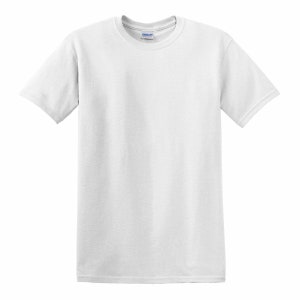 May include: A plain white t-shirt with a short sleeve and a crew neck.