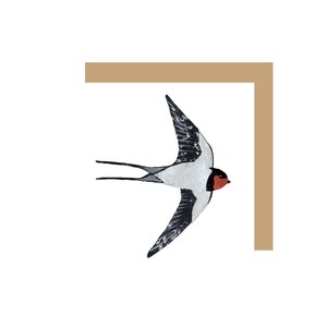 Swallow Greetings Card
