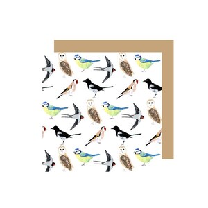 Garden Birds  Greetings Card