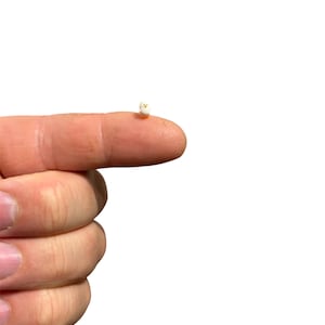 May include: A miniature white figurine of a bird with a small orange beak and tiny black eyes, perched on the tip of a finger. The bird has a rounded body and small wings, showcasing a highly detailed and extremely small scale design.