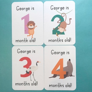 12 cartes d’étape de bébé personnalisées douze mois zoo animaux garçon fille