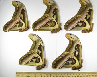 5 hanar Riktig stor jättefjäril Saturia Attacus atlas tapetserade omonterade fjärilar för konstverk taxidermi