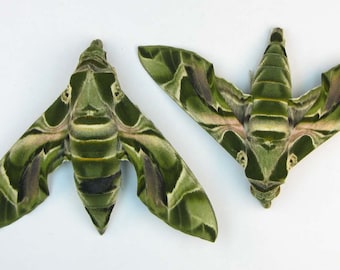 Daphnis nerii Oleander hawk moth green 2pcs nice for artwork collection and frames