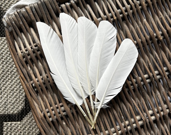 White Dove Feathers naturally Shed Cruelty Free - Etsy
