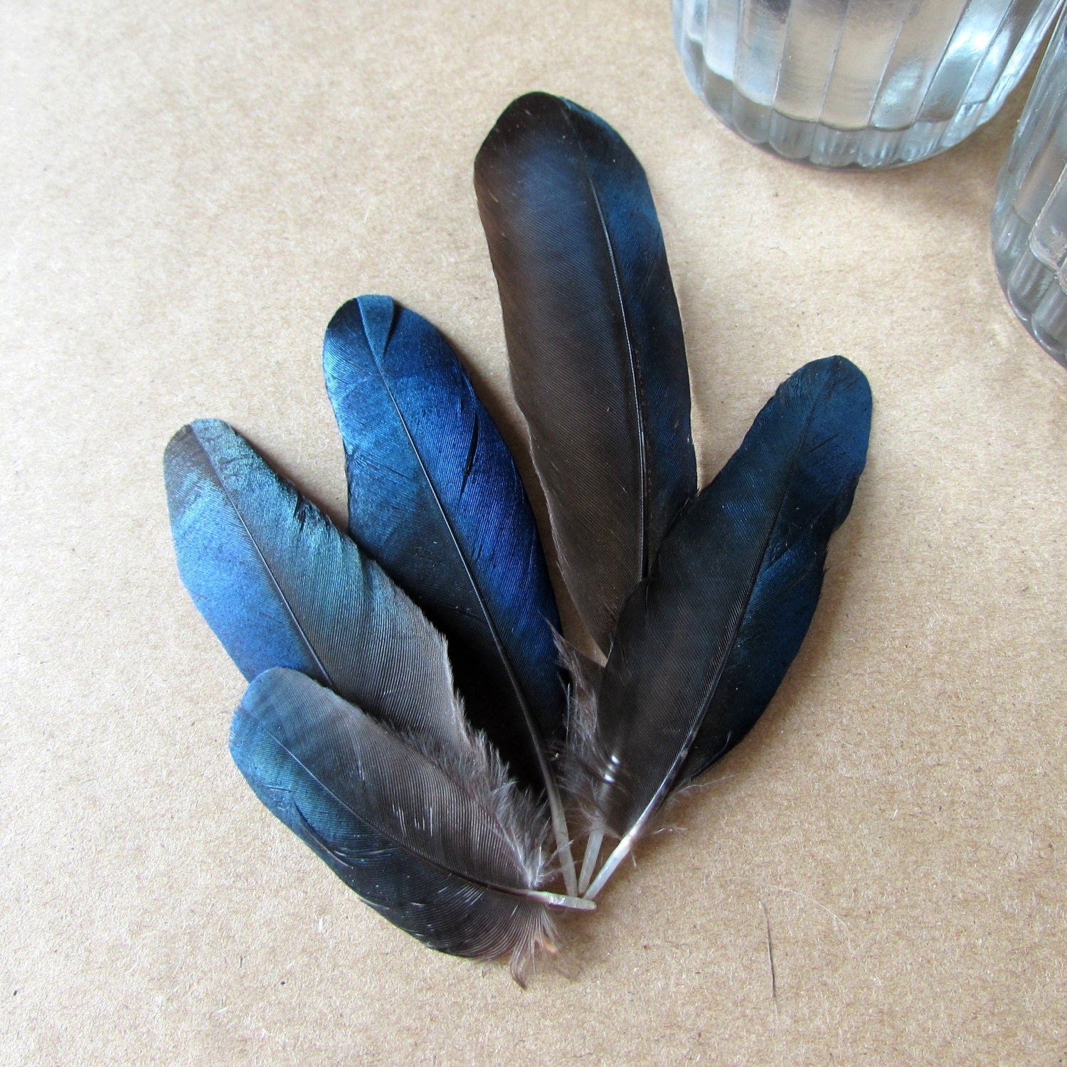 Plumes de pie noires et blanches dorigine éthique Etsy