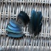 Small Blue Magpie Feathers (Ethically Sourced) CHECK MY DESCRIPTION before buying 