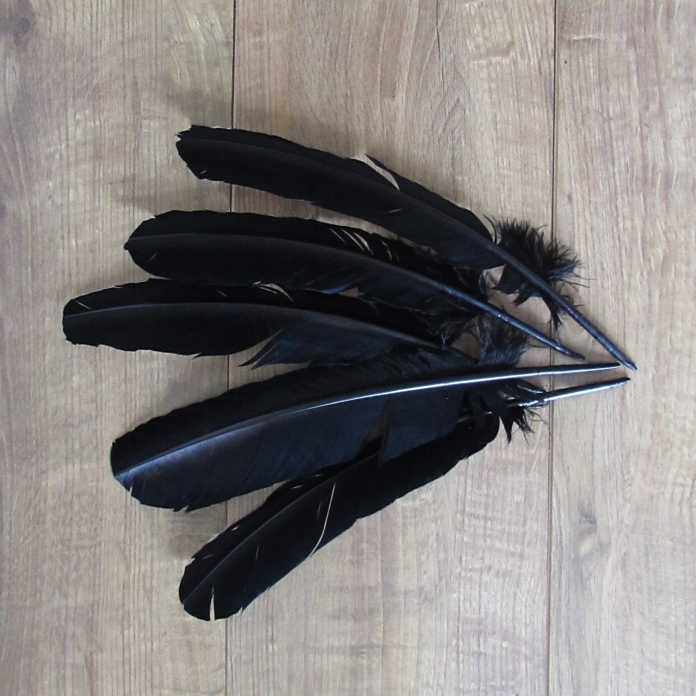 Black Turkey Feathers from on Etsy Studio
