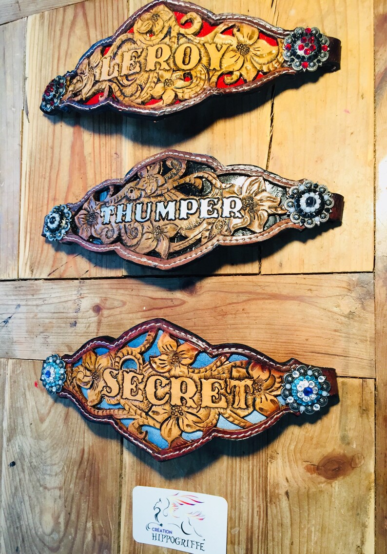 Custom made noseband bronc halter dream catcher feathers Etsy Canada