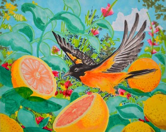 Baltimore Oriole Greeting Card