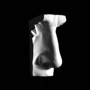 Plaster Cast of Michelangelo&#39;s David&#39;s Nose, Handmade Plaster Wall Sculpture, Artist&#39;s Reference Cast.
